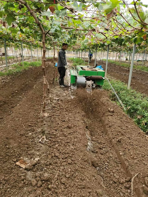 臺(tái)州農(nóng)資 臺(tái)州農(nóng)資